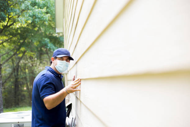 Affordable Siding Repair and Maintenance Services in Cotati, CA